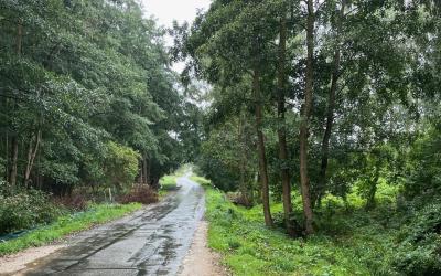 Horizontalspülbohrverfahren